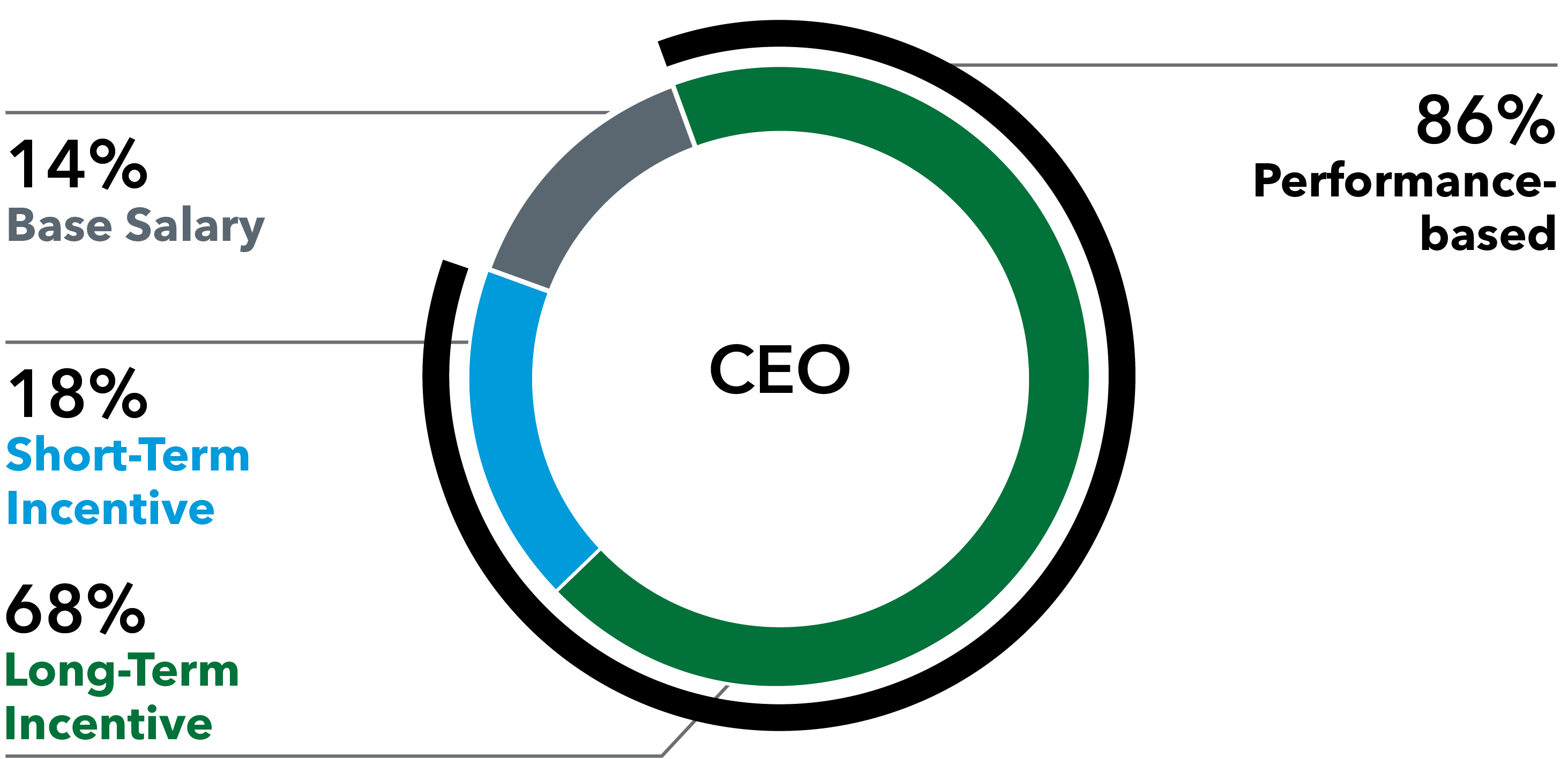 piechart_ceoa.jpg